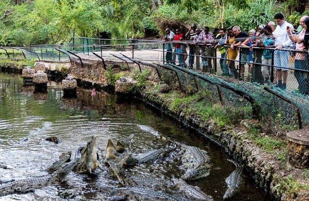 Wild Waters - Haller Park Day Excursion (minimum 2 Pax)