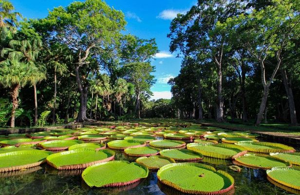 Full-Day North Tour of Mauritius, ALL INCLUSIVE Day Trip, Private SUV Car, Guide