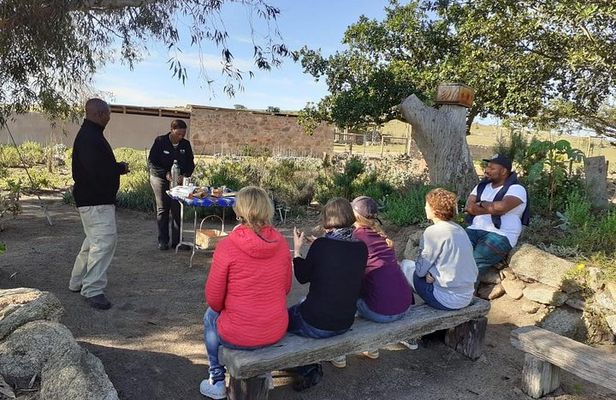 West Coast Day Trip from Cape Town 