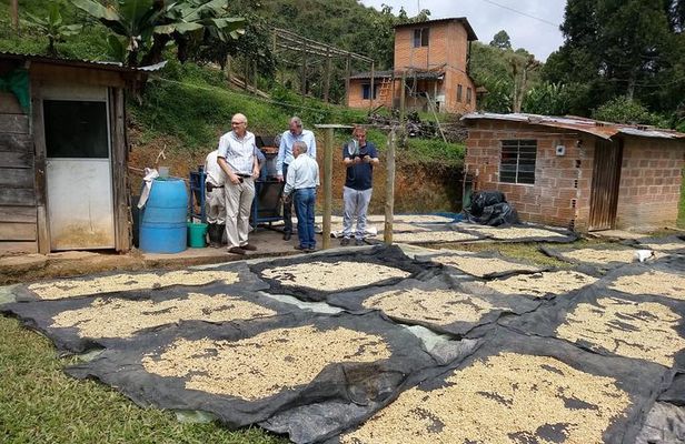 Private Coffee Tour in Colombia