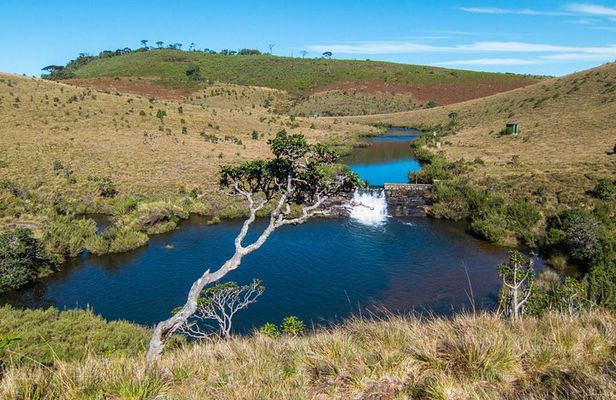 Private Tour to Horton Plaines by Van