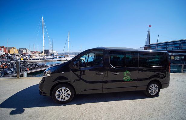 Tromso: Private Aurora Chase by Minivan