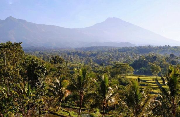Rice paddies, local villages and handicraft