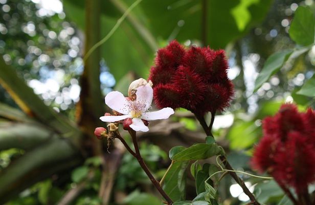 Spice and Fruit Tour