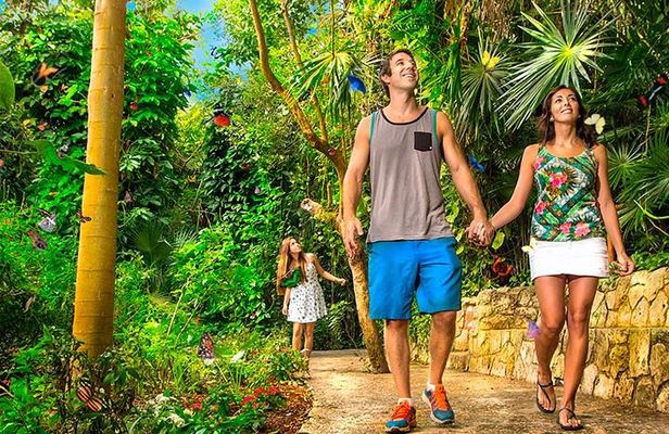 Tour Xcaret All Inclusive from Playa del Carmen - Included Transportation