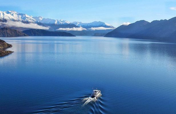 Stevensons Island Cruise and Nature Walk from Wanaka