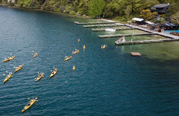 Rotorua: Daytime Scenic Lake Rotoiti Kayak Tour