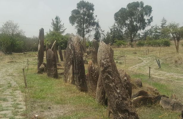 Day Trip to Tiya UNESCO Site & Melka Kunture Archaeological Site 