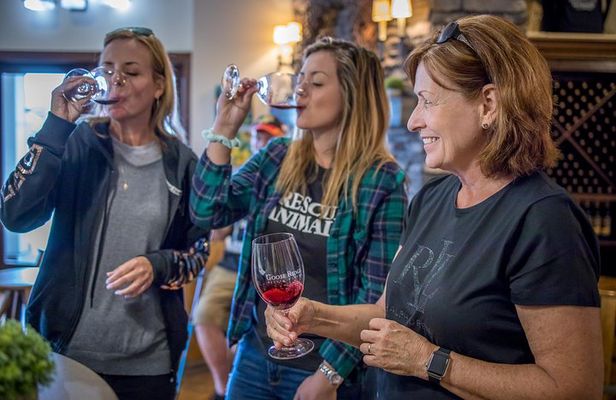 Woodinville Wine and Snoqualmie Falls Day Tour