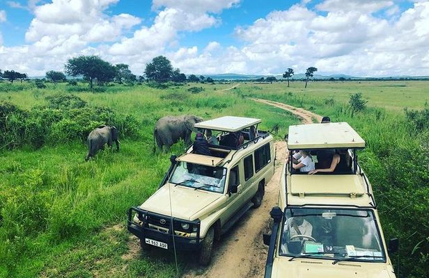3 Days 2 Nights Adventures At Mikumi National Park