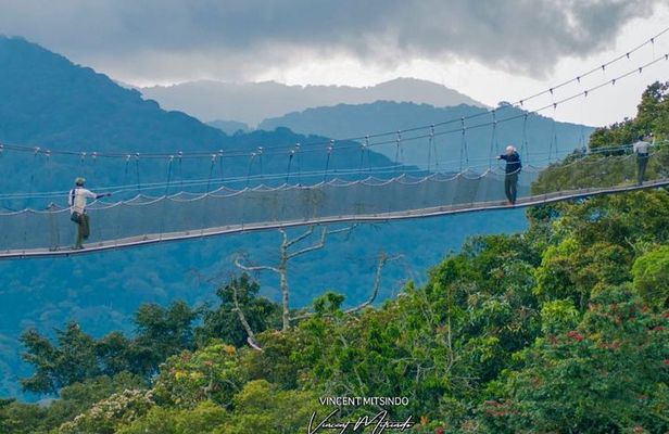 One Day Nyungwe National Park Tour& Canopy walk (2 Pax Min)