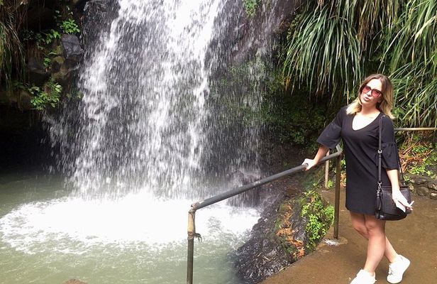 Private Annandale Waterfall & Forest Park Tour in Grenada