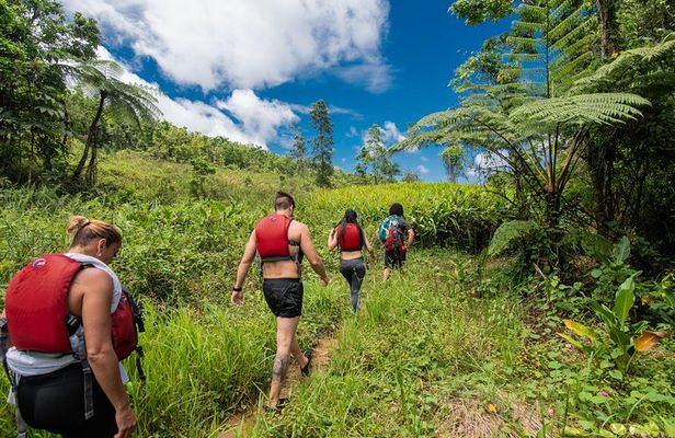 Hike El Yunque Rainforest and Kayak Bio Bay Combo Tour