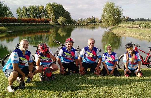 MTB - A tour of the wineries and their vineyards