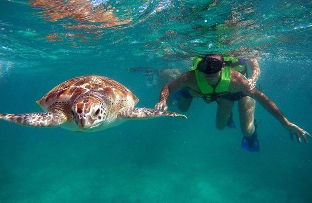 Tulum ruins swim with turtles in Akumal and Cenote