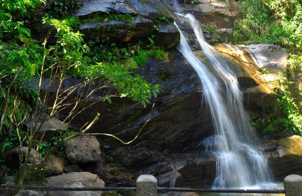 Christ and Tijuca Forest Tour - by Alan Denis