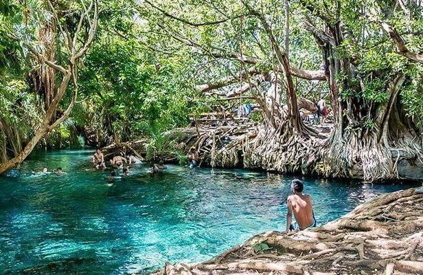 Kikuletwa Hotsprings/ Maji moto Day Trip