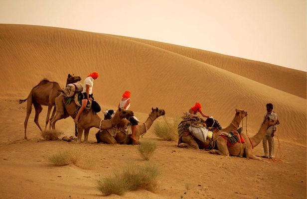 Overnight Camel Safari at Non-Touristic Route