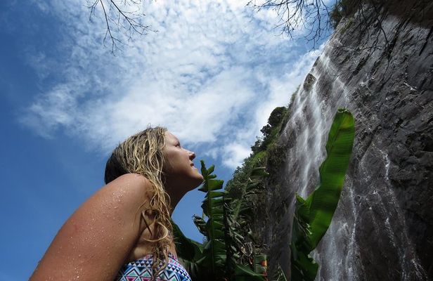 The Anti Coffee tour: a visit to La Cascada Arcoiris Farm