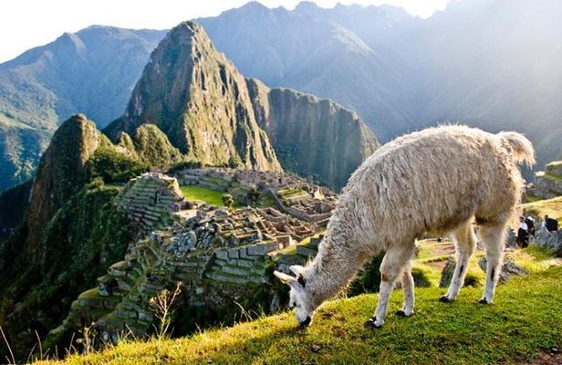 Machu Picchu By Train (2 Days)