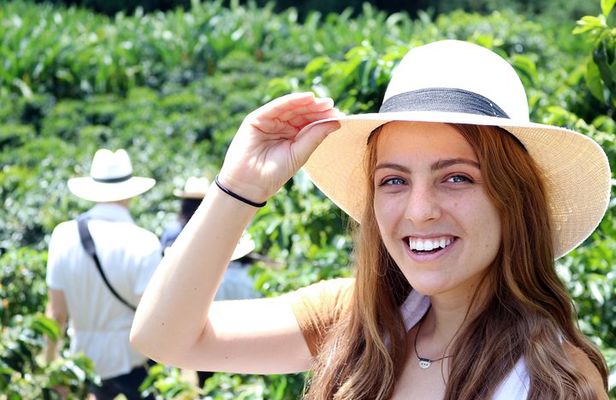 Medellín Hands-on Coffee Tour