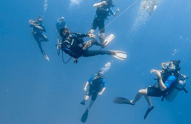 Advanced Open Water Dive Certification in Tamarindo