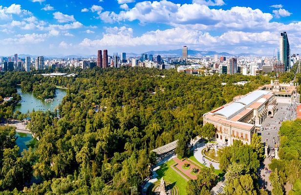 Private Walking Tour Anthropology Museum & Chapultepec Castle