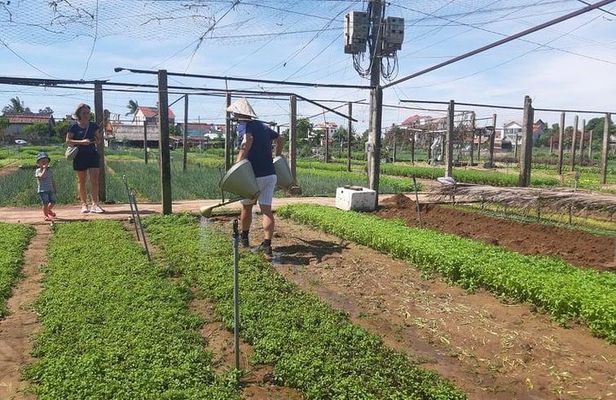 Hoi an Tra Que vegetable village & cooking class
