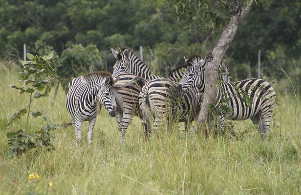 Discover Nature at Shai Hills