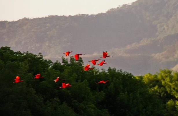 Bird Sanctuaries Tour