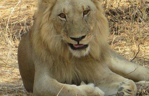 Tarangire National park and Lake Manyara National park 