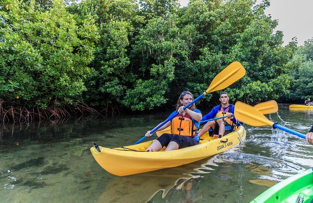 Bio Bay Night Kayaking with Transport from San Juan Area 