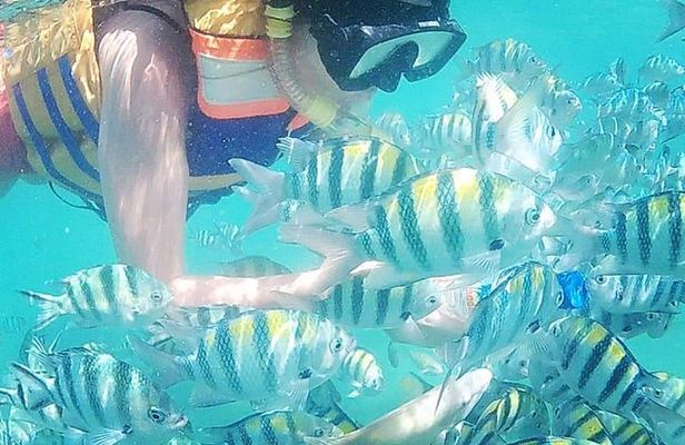 Snorkeling Tour In Gili Nanggu