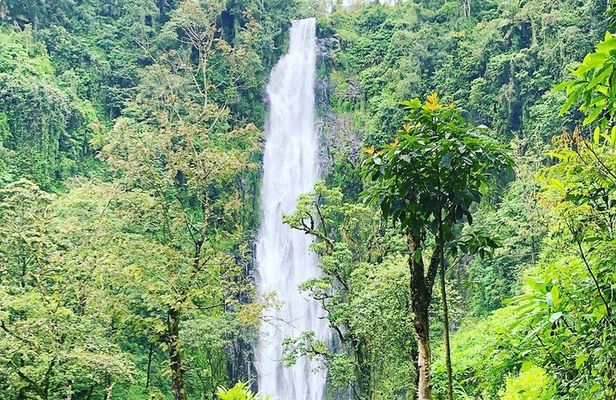 Materuni waterfalls and coffee Tour
