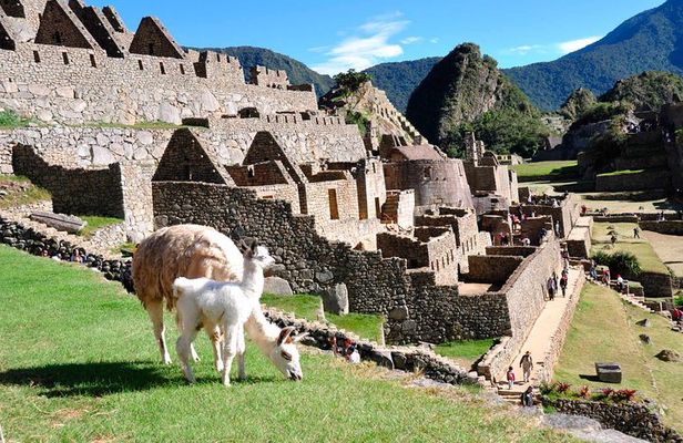 2 day excursion: Sacred Valley and Machu Picchu (Private Service)