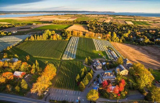 Valley Wine Tour. You will buy your own wine and meals.