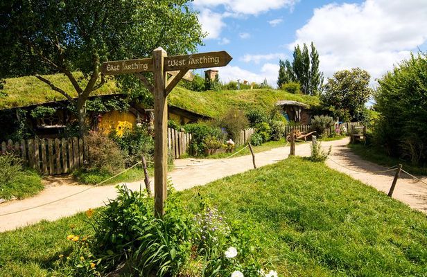 Luxury Small group tour from Auckland to Hobbiton Movie Set