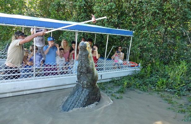 Adelaide River Cruises - Jumping Crocodile Experience