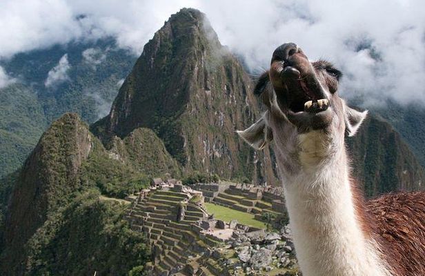 Private tour: 2 day Exploration Sacred Valley and Machu Picchu