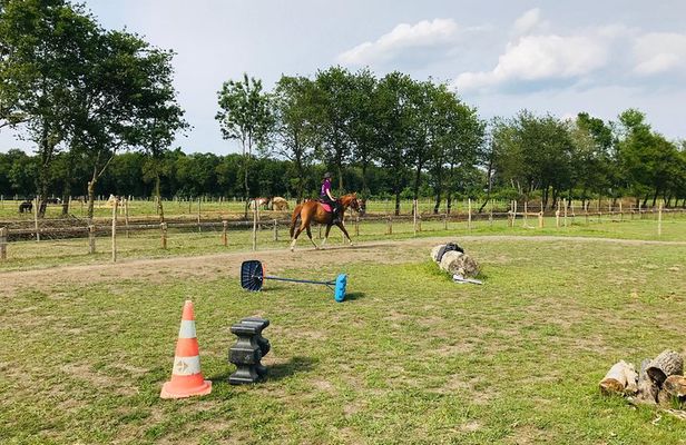 Riding course for all levels 1/2 day (3 hours)