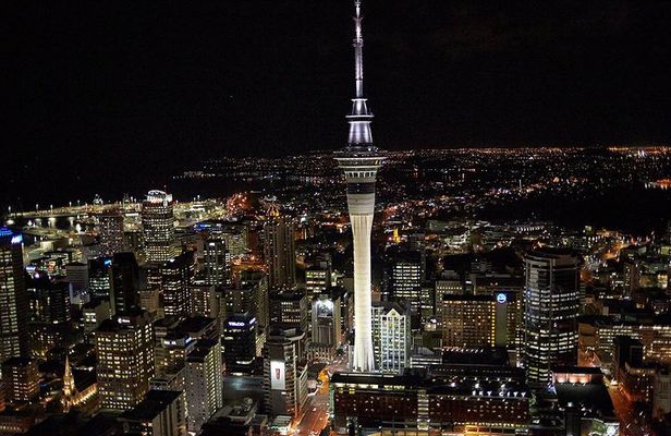 Discover Auckland City Half-Day Tour