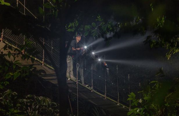 Nocturnal Walk in the Hanging Bridges