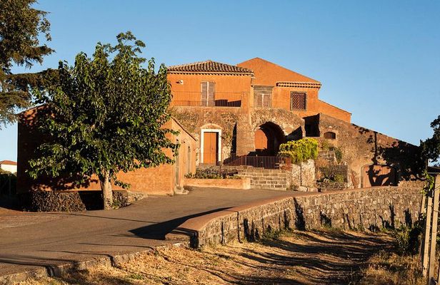 Etna DOC & Organic Wine tasting and tour of the 1815 historic winery