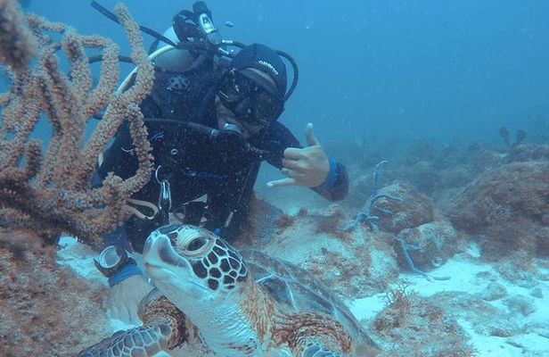 Aruba Certified Scuba Diving