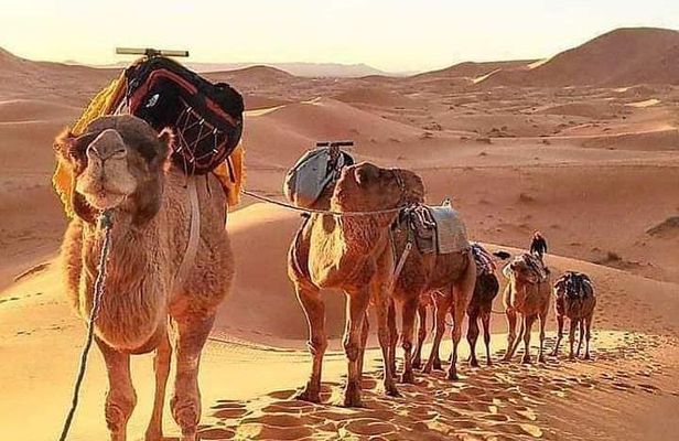 6 DaysTour Fes Desert Ait BenHaddou Marrakech private van 7 seats