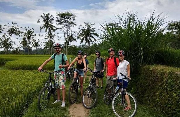 Bali Bike Ride Experience