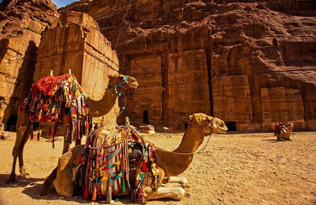 From Aqaba a Day Excursion to Petra