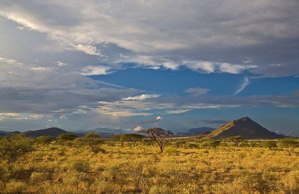 8-Day Samburu, Mount Kenya, Lake Nakuru and Masai Mara