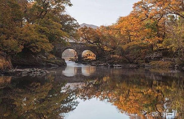 The Meeting of the Waters, Dinis Island, Lakes of Killarney (Minimum 6 people)