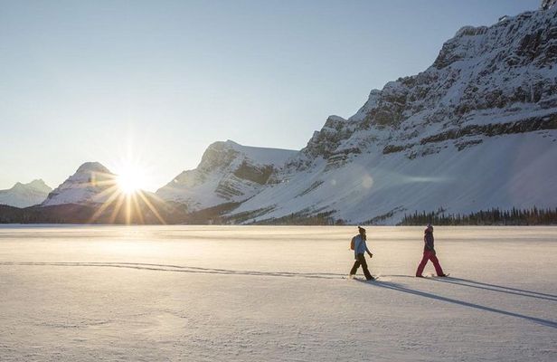 Eco friendly snowshoeing in Scenic Landscape